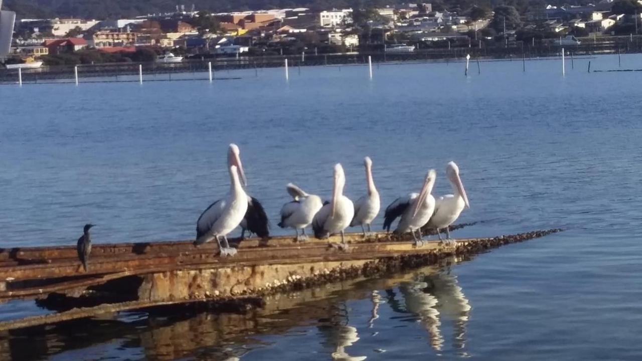 The Peninsular Merimbula Exterior photo